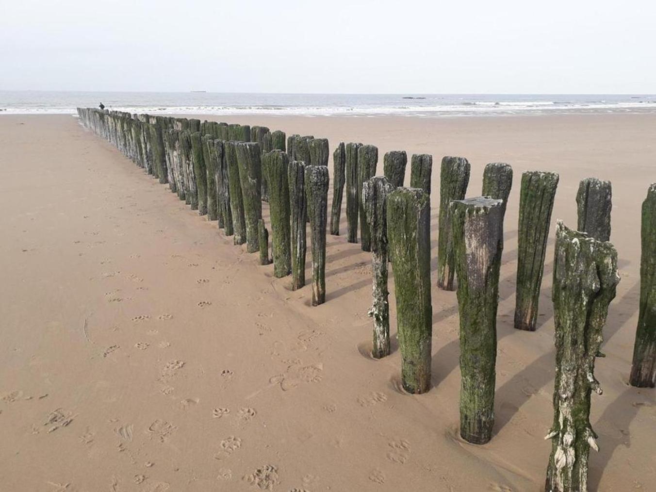 Maison Noomi Knokke-Heist Buitenkant foto